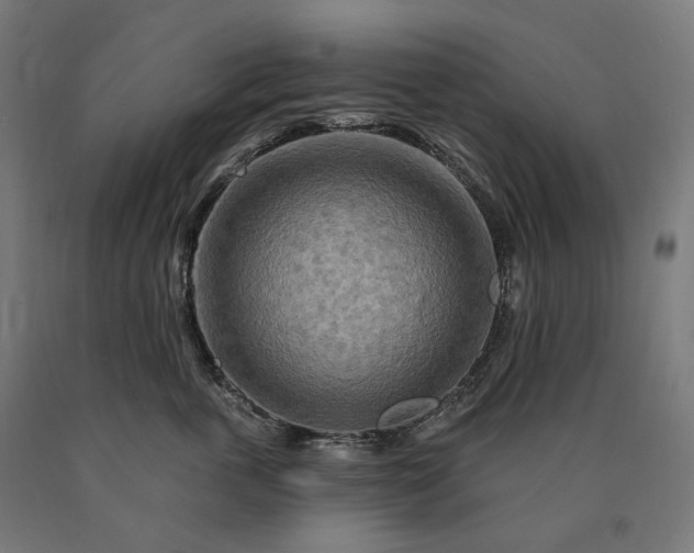 X0000090610763200707311222