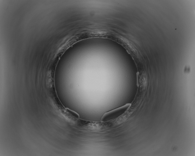 X0000090610764200707311222