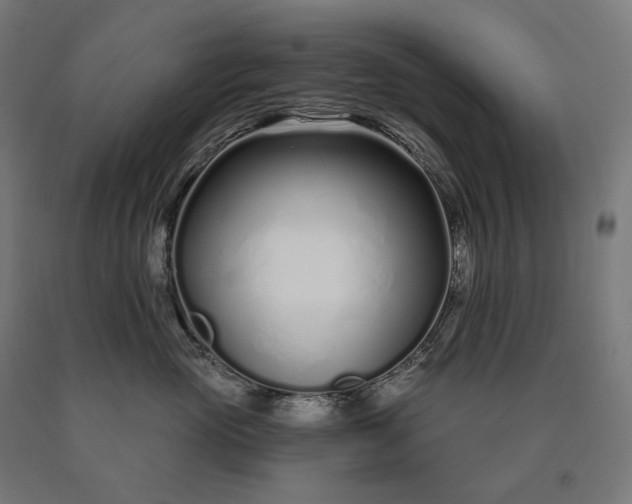 X0000090610765200707311222