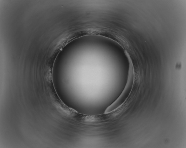 X0000090610766200707311222