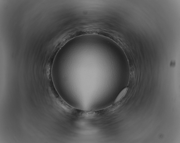 X0000090610767200707311222