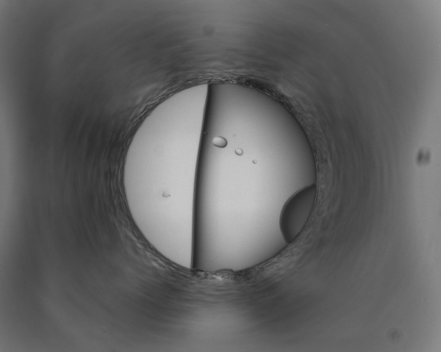 X0000090610768200707311222