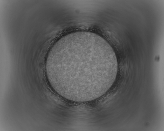 X0000090610769200707311221