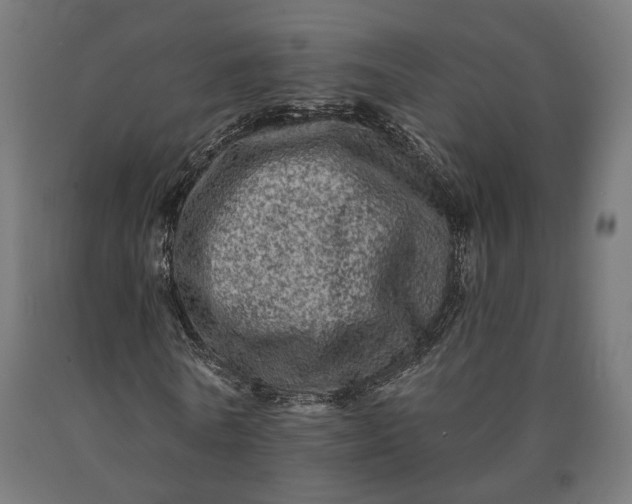 X0000090610770200707311221