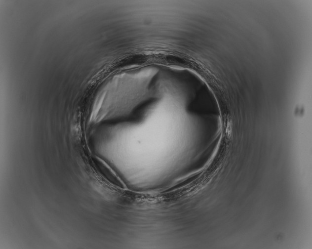 X0000090610771200707311221