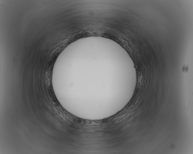 X0000090610772200707311221