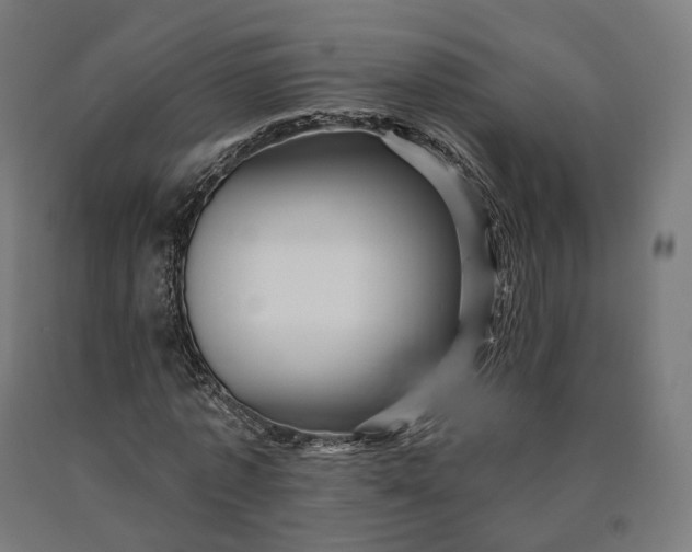 X0000090610773200707311221