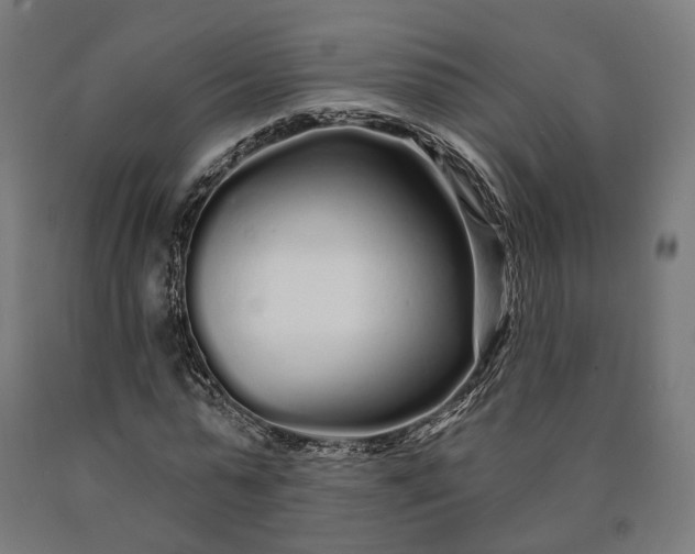 X0000090610775200707311221