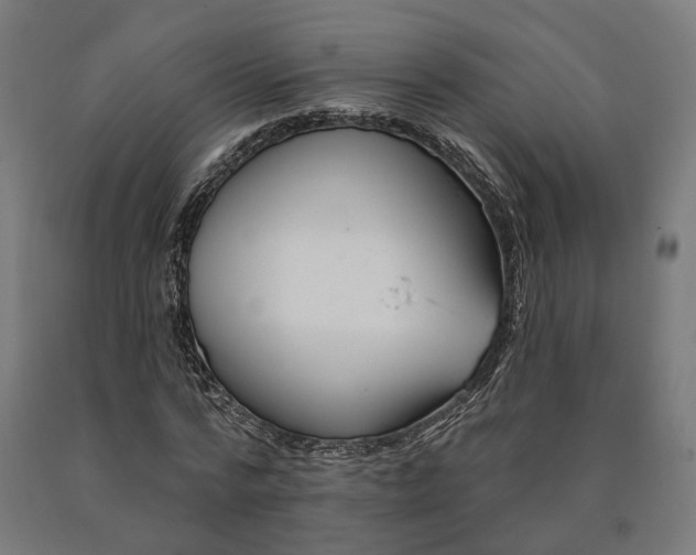 X0000090610776200707311221