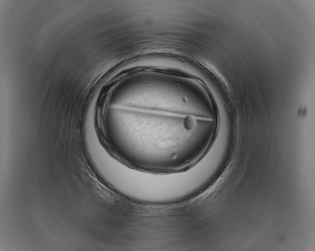 X0000090610777200707311221