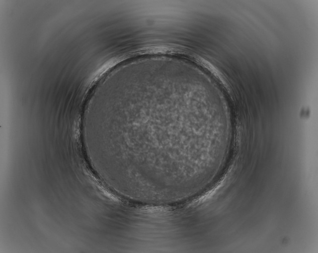 X0000090610778200707311221