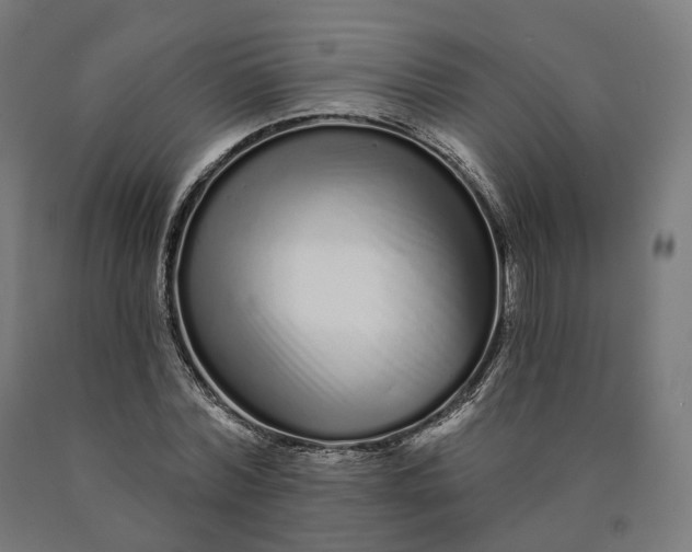 X0000090610780200707311221