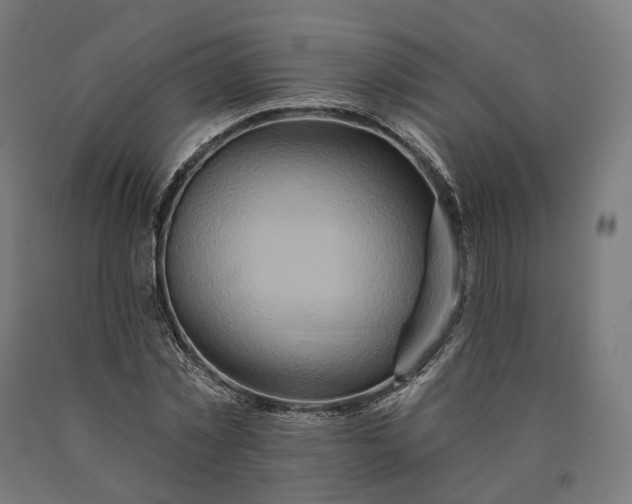 X0000090610781200707311221