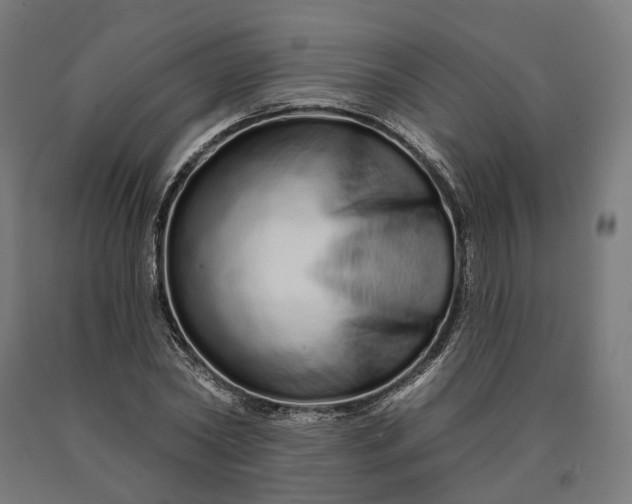 X0000090610782200707311221