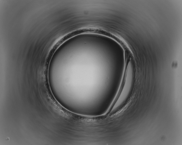 X0000090610783200707311221