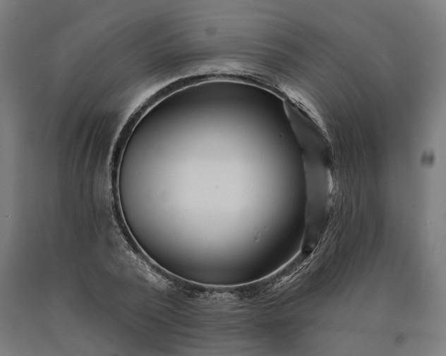 X0000090610784200707311221