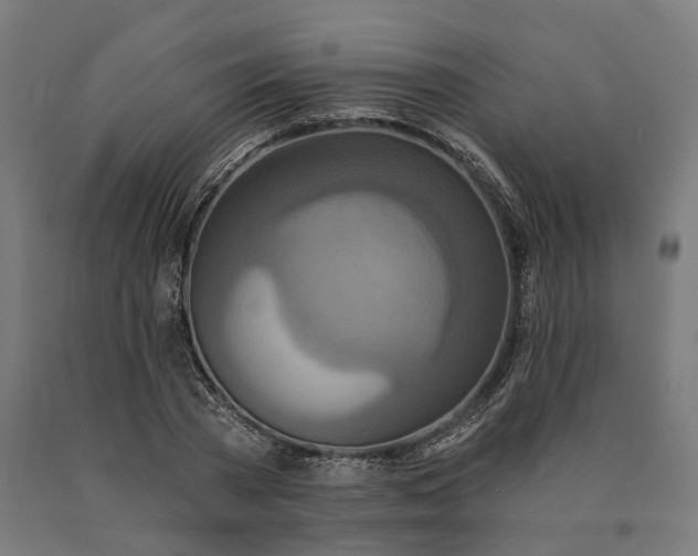 X0000090610785200707311221