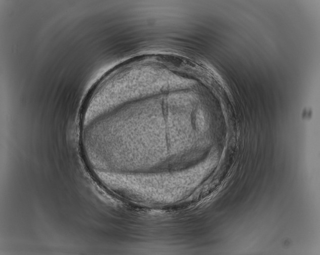 X0000090610787200707311221