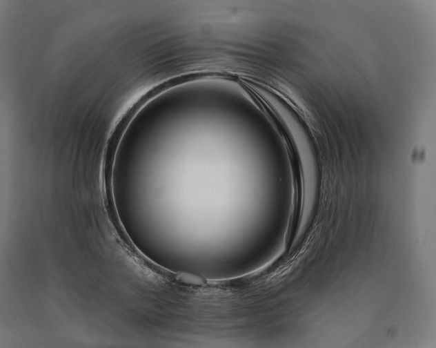 X0000090610788200707311221