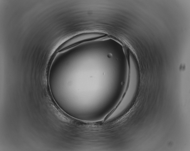 X0000090610789200707311221