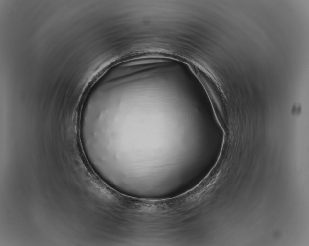 X0000090610790200707311221