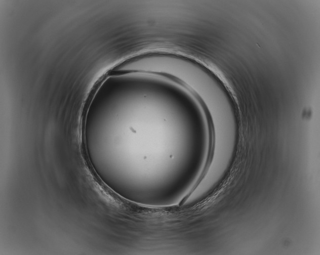 X0000090610791200707311221