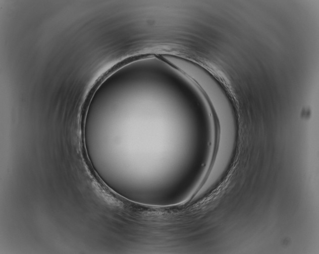 X0000090610792200707311221