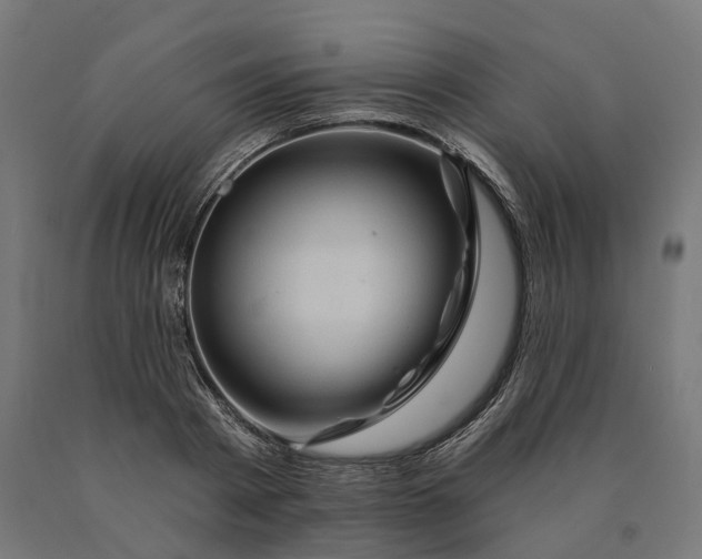 X0000090610793200707311221