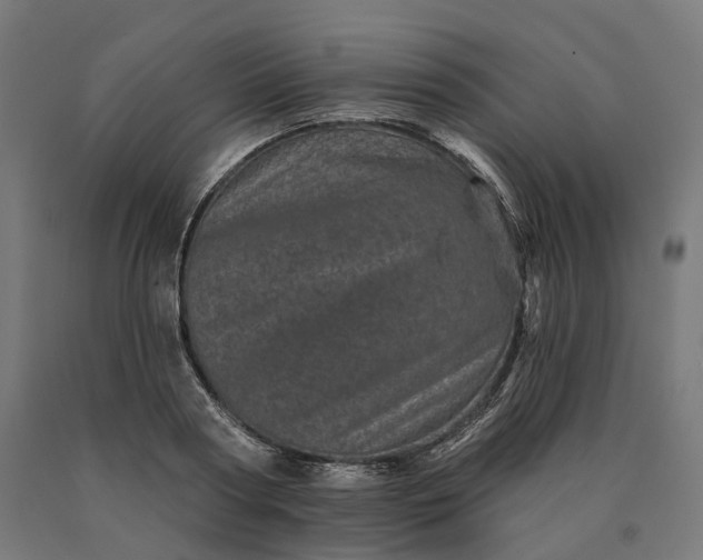 X0000090610794200707311221