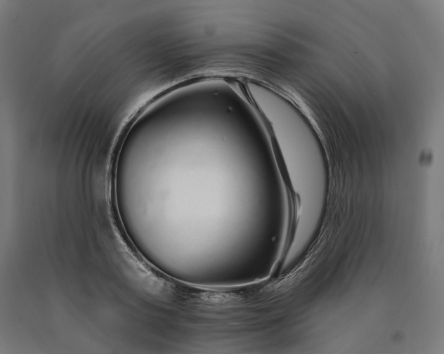 X0000090610795200707311221