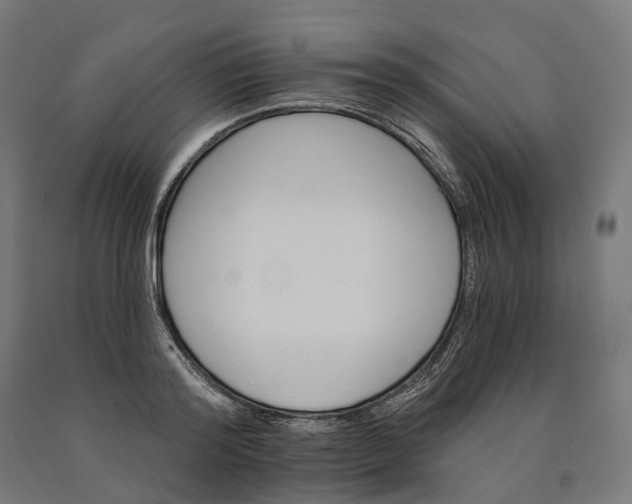 X0000090610796200707311221