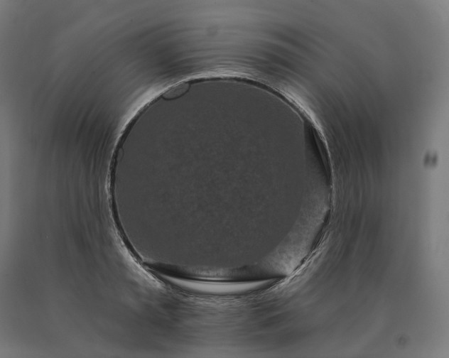 X0000090610797200707311221