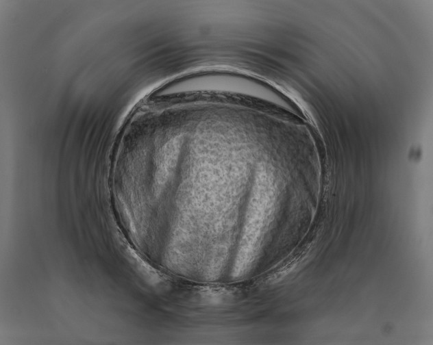 X0000090610799200707311221