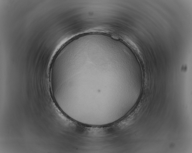 X0000090610800200707311221