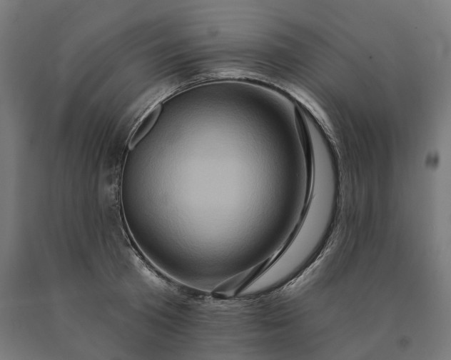 X0000090610801200707311221