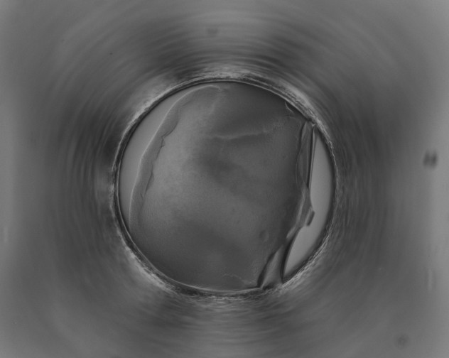 X0000090610802200707311221