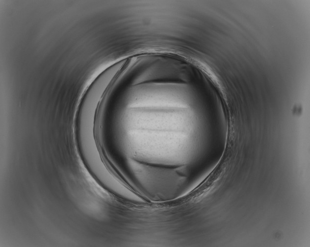 X0000090610803200707311221