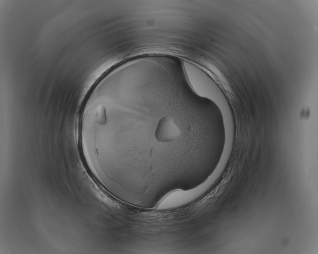 X0000090610804200707311221