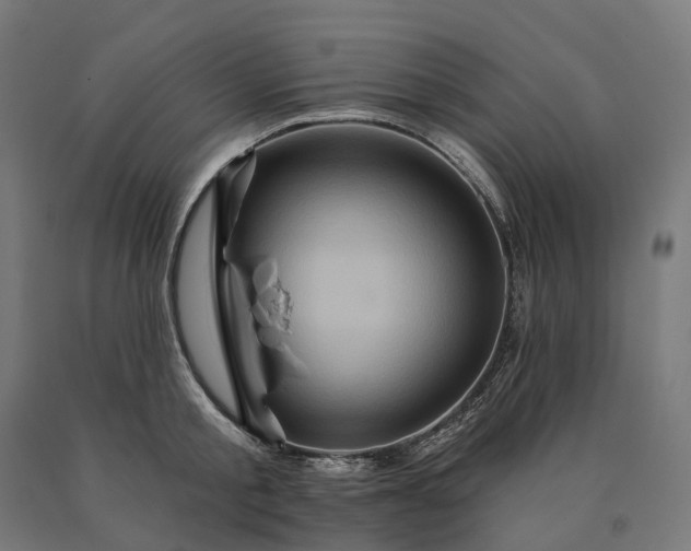 X0000090610805200707311221