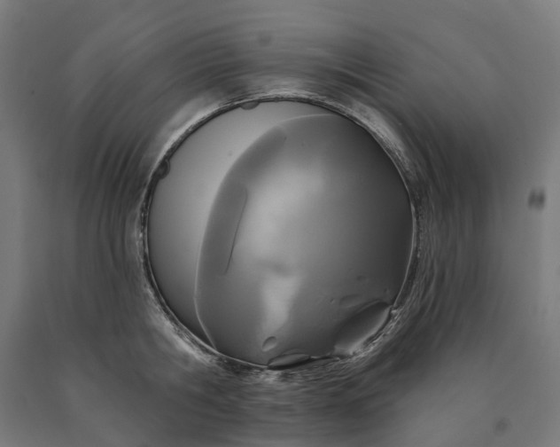 X0000090610806200707311221