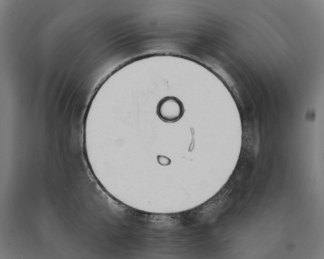 X0000090610807200707311221