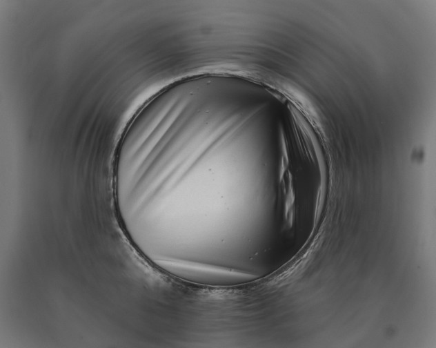 X0000090610808200707311221