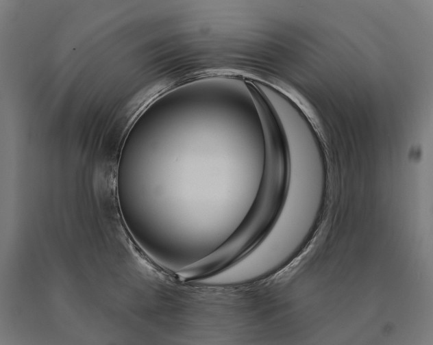 X0000090610809200707311221