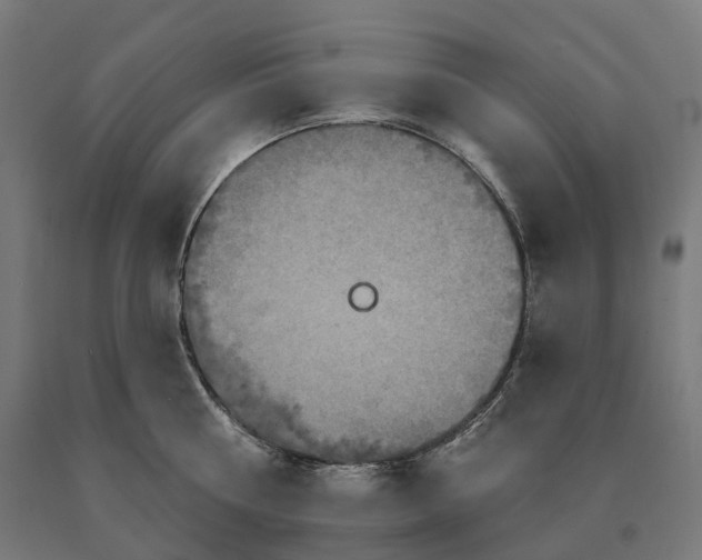 X0000090610810200707311221