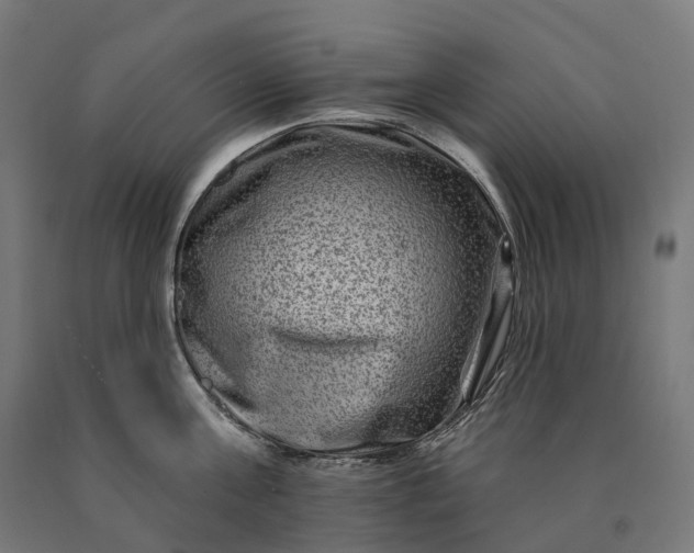 X0000090610811200707311221