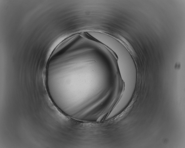 X0000090610812200707311221