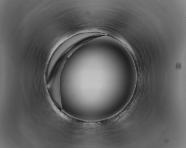 X0000090610813200707311221