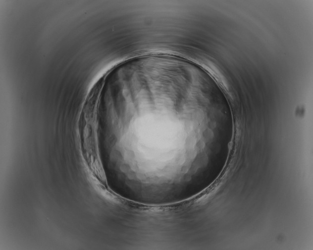 X0000090610814200707311221