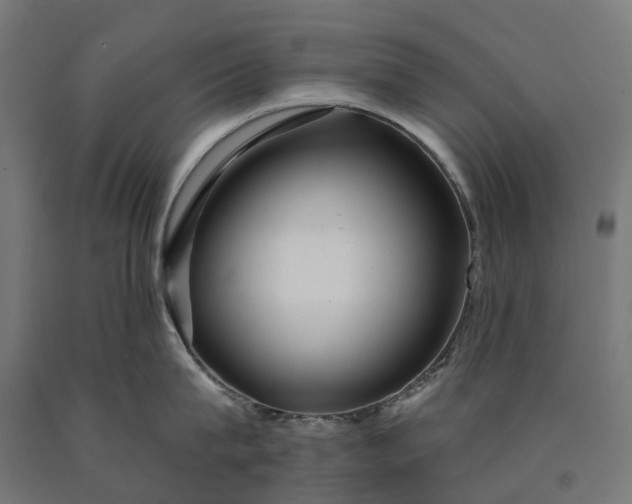 X0000090610815200707311221