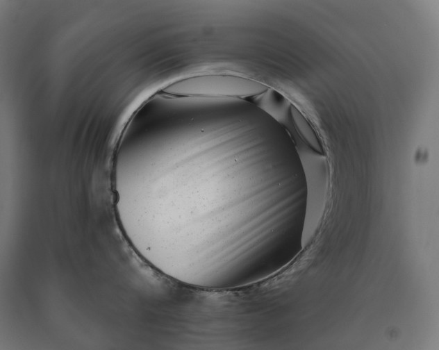 X0000090610816200707311221